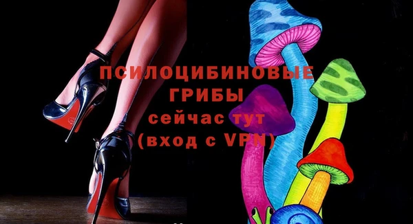 МДПВ Мегион