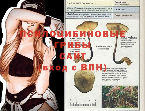 дживик Медногорск