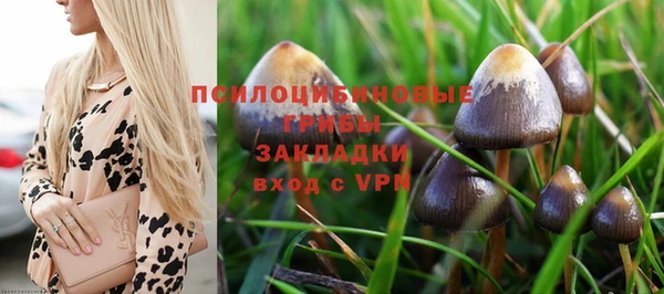 МДПВ Мегион