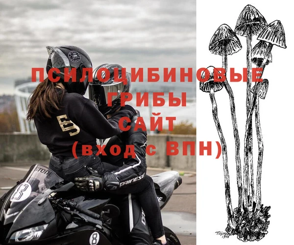 МДПВ Мегион