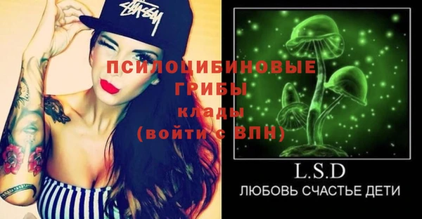 дживик Медногорск