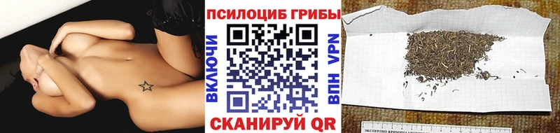 Галлюциногенные грибы Psilocybine cubensis  Ухта 