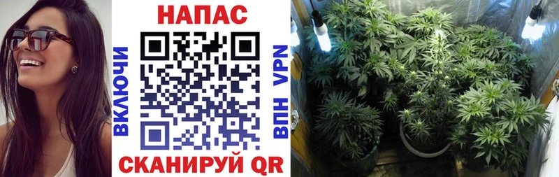 цена   Ухта  МАРИХУАНА THC 21% 
